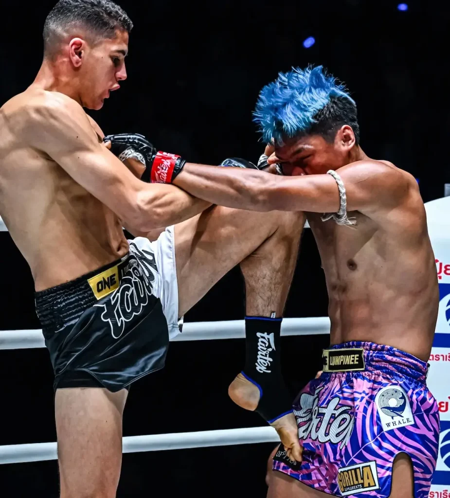 Découvre le palmarès d'Elies Abdelali : champion de France à ONE Championchip, multiple titres, victoires en KO. Un kick boxeur professionnel de la team Payan