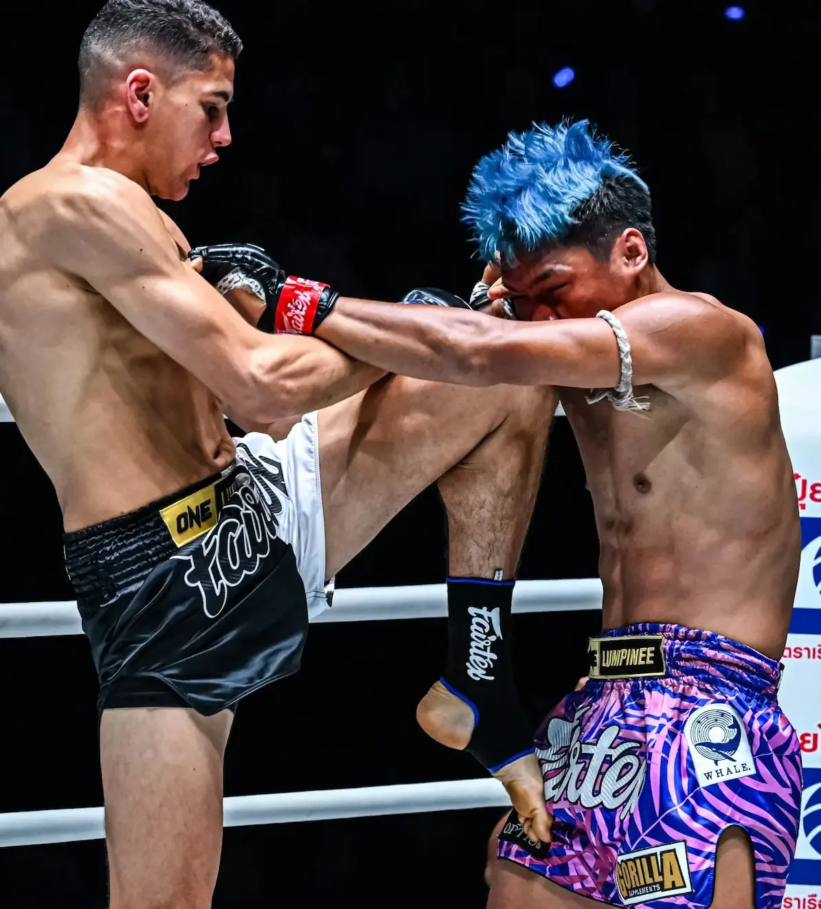 Découvre le palmarès d'Elies Abdelali : champion de France à ONE Championchip, multiple titres, victoires en KO. Un kick boxeur professionnel de la team Payan